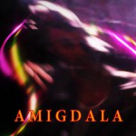 amigdala-foto