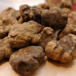 SAN MINIATO:MOSTRA-MERCATO TARTUFO