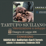 banner-tartufo