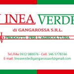 Banner-Linea-verde